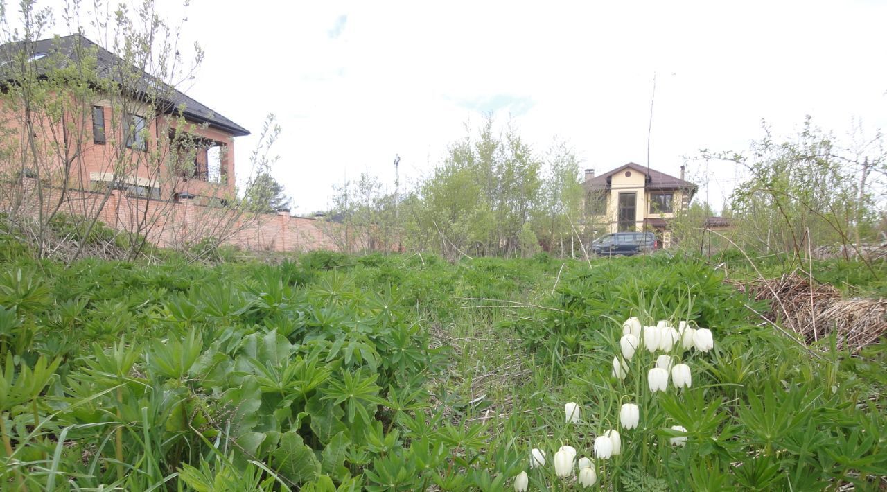земля г Владимир р-н Октябрьский Лунево ул Лунёвская фото 1