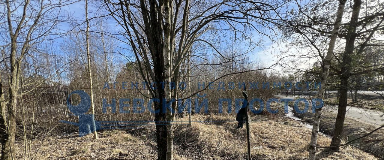 офис г Зеленогорск Курортный пер Выборгский фото 8
