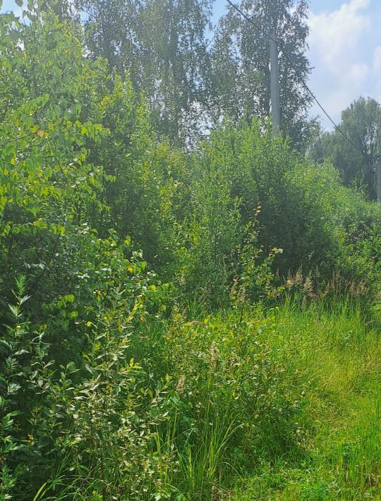 земля г Коломна п Новоселки Ягодное садовое товарищество фото 3