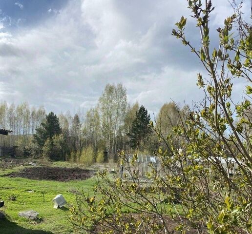 снт терВымпел Невьянский муниципальный округ фото