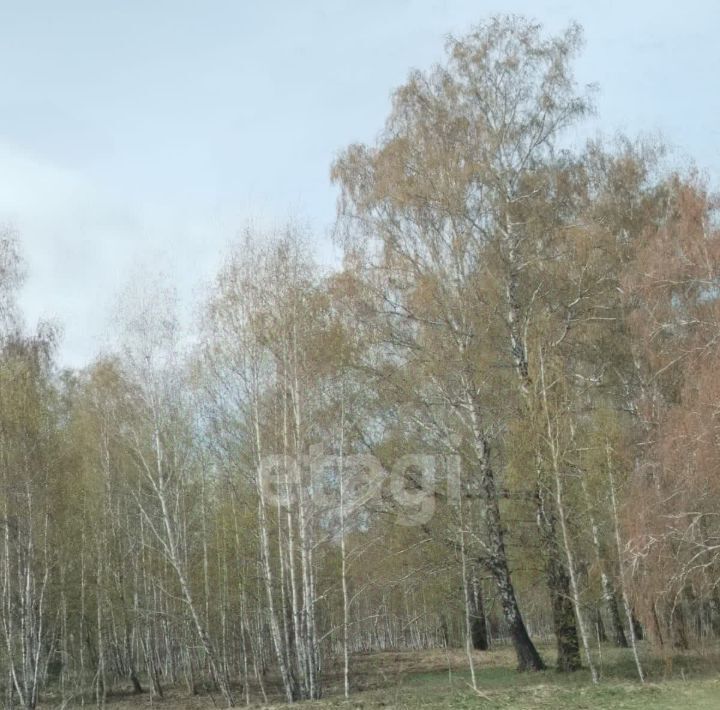 земля г Екатеринбург с Горный Щит ул Красная 1б/16 Ботаническая муниципальное образование фото 5