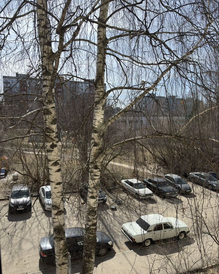 квартира г Нижний Новгород р-н Нижегородский Верхние Печёры ул Бринского 2к/1 фото 15