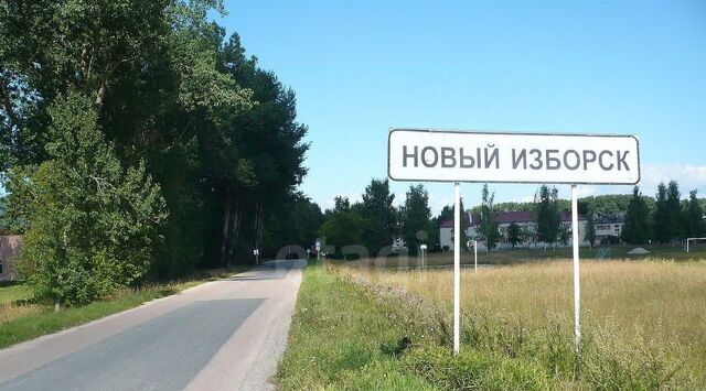 д Новый Изборск ул Профсоюзная 8 фото