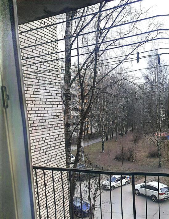 комната г Санкт-Петербург метро Гражданский Проспект ул Демьяна Бедного 31а фото 23
