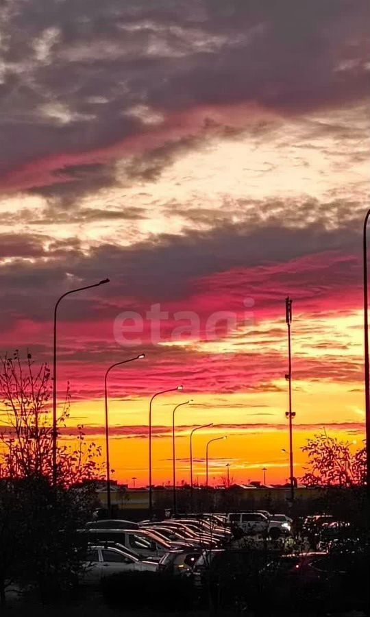 квартира г Москва метро Новопеределкино ул Родниковая 5а фото 27