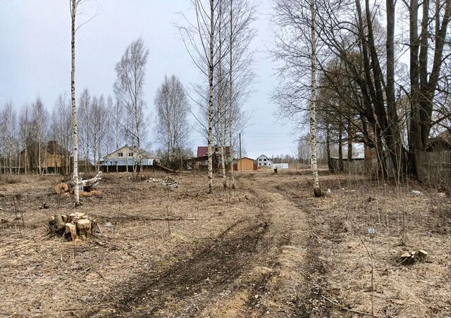 земля ул Центральная Расловское сельское поселение, Никольское фото