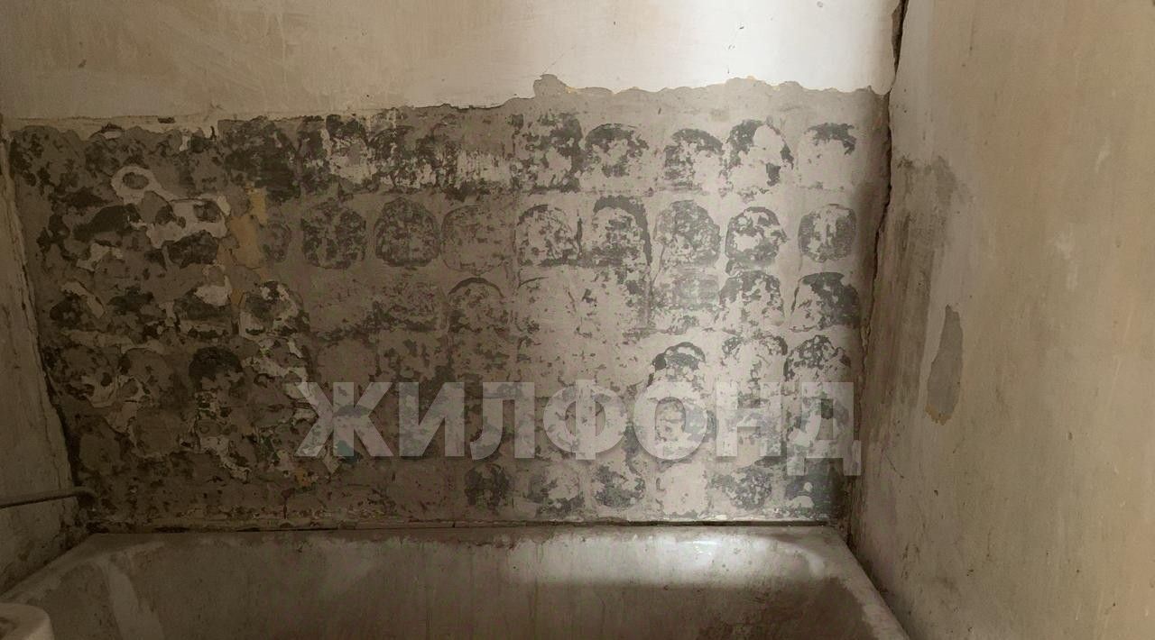 квартира г Новосибирск Берёзовая роща ул Кошурникова 11 фото 1