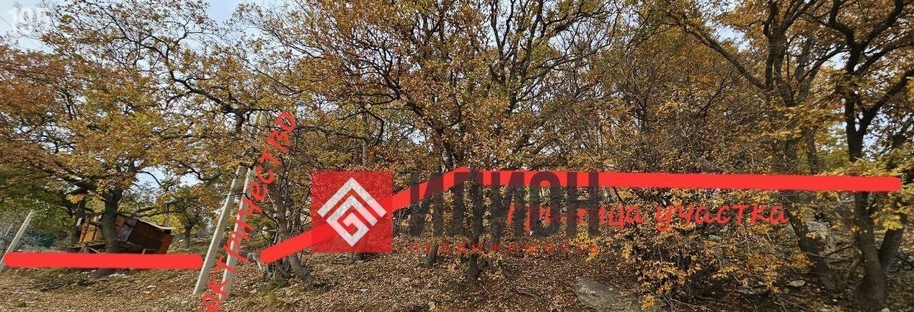 земля г Ялта пгт Гаспра ул Горького 20 фото 2