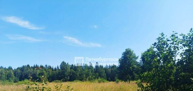 Усть-Лужское с/пос фото