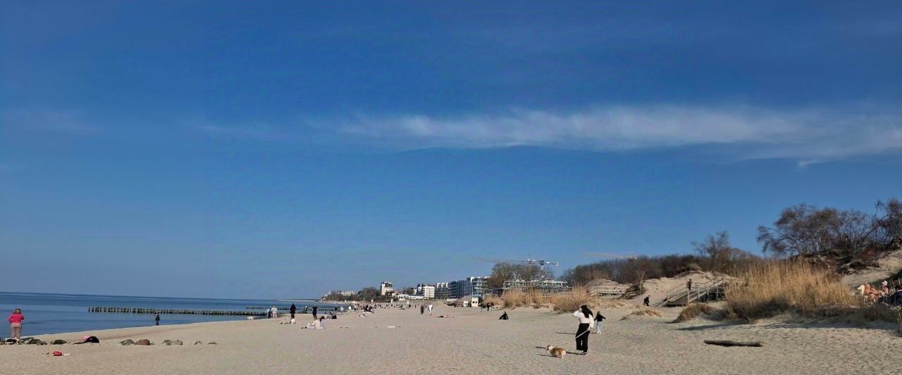 квартира р-н Зеленоградский г Зеленоградск п Малиновка фото 26