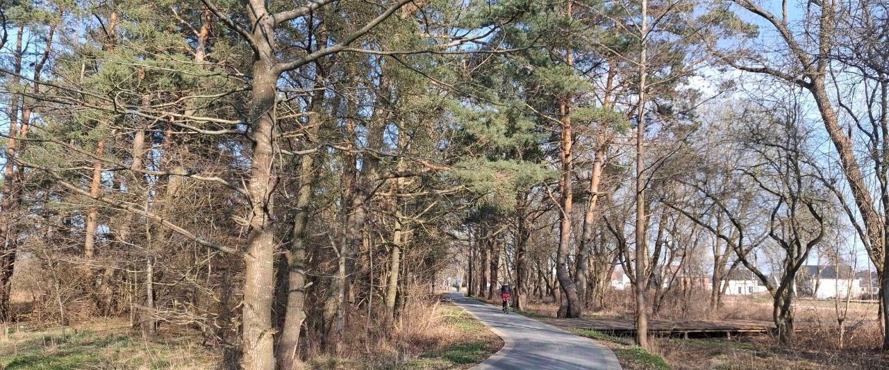 квартира р-н Зеленоградский г Зеленоградск фото 13