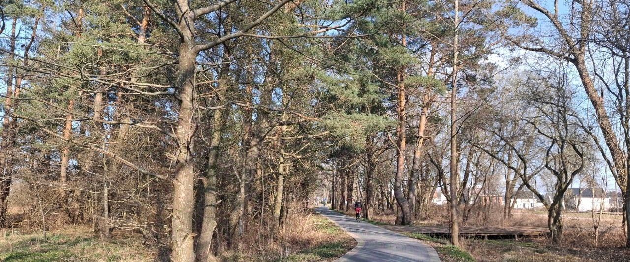 квартира р-н Зеленоградский г Зеленоградск п Малиновка фото 17