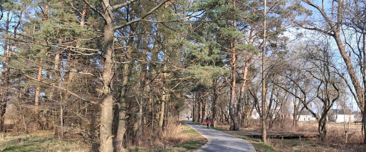 квартира р-н Зеленоградский г Зеленоградск п Малиновка фото 24