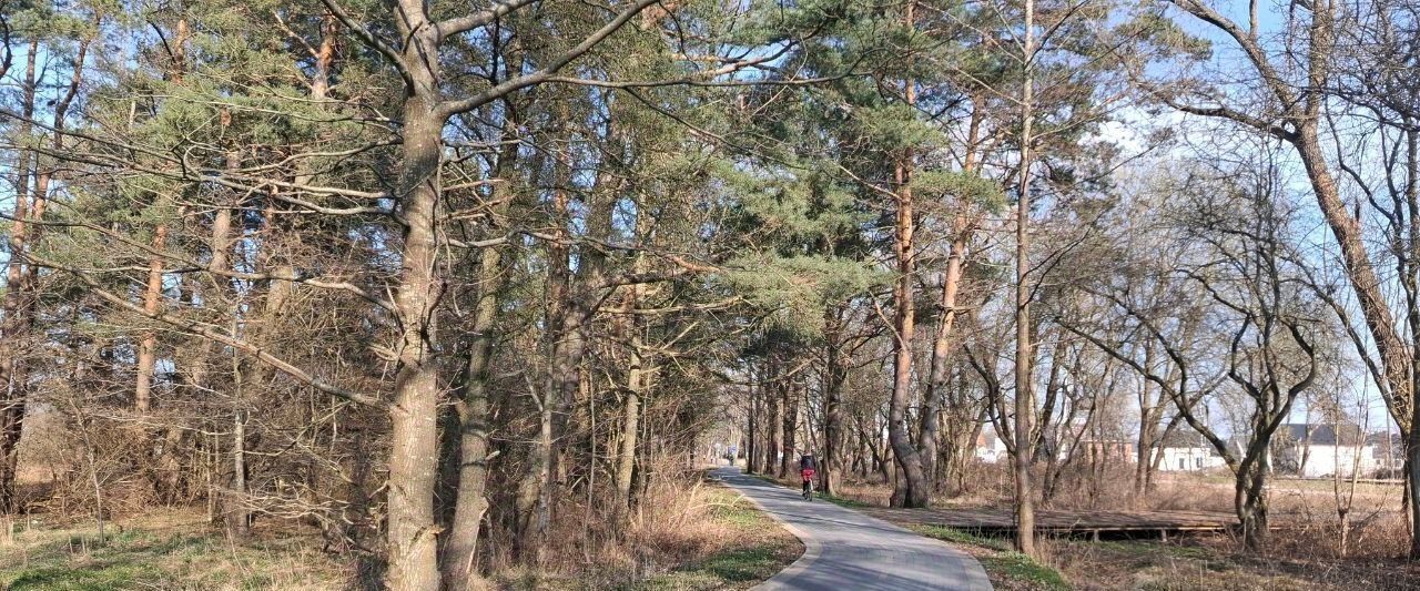квартира р-н Зеленоградский г Зеленоградск п Малиновка фото 24