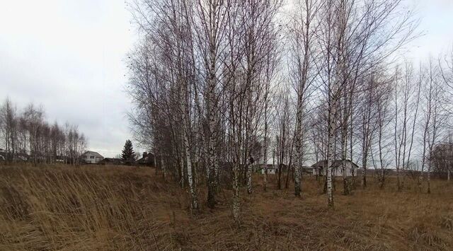 с Сергиевское Коломна городской округ фото
