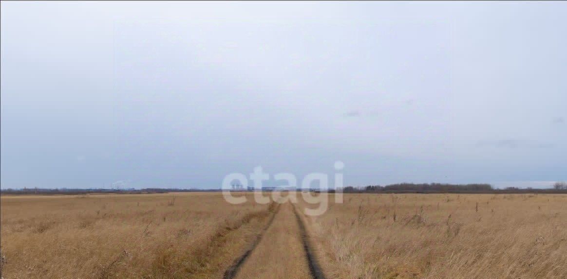 земля г Тюмень р-н Ленинский Грин Парк кп фото 4