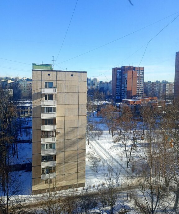 квартира г Санкт-Петербург метро Ладожская ул Передовиков 29к/1 фото 7