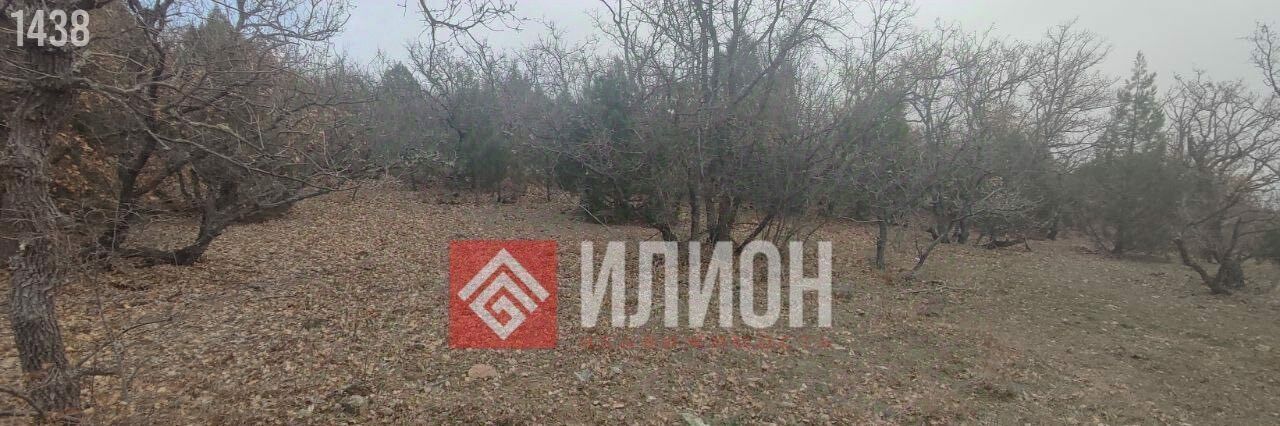земля г Алушта с Приветное р-н курорт Канака ул Курортная фото 2