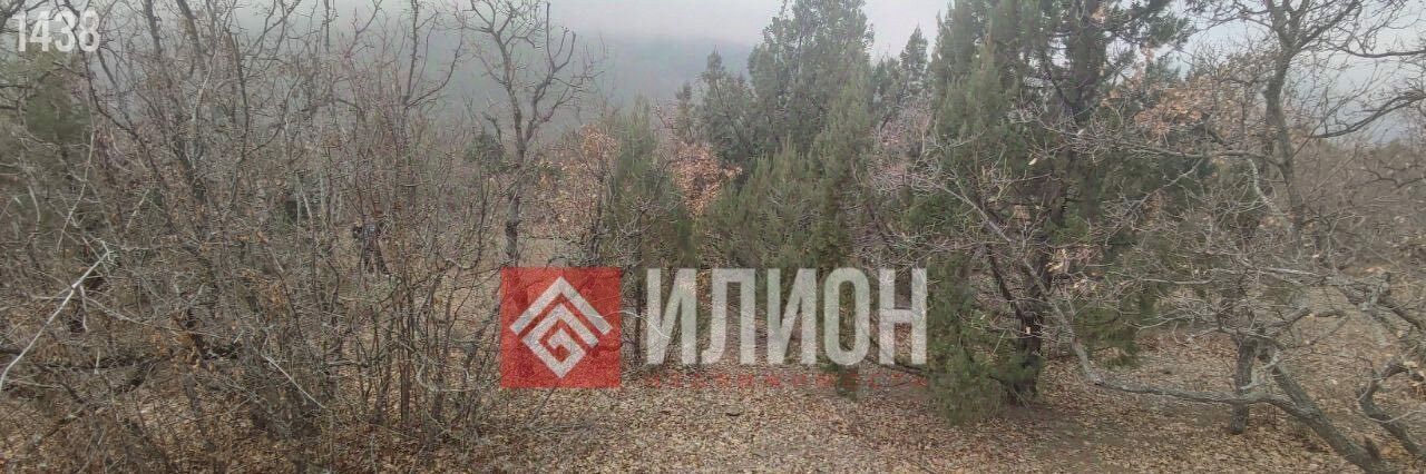 земля г Алушта с Приветное р-н курорт Канака ул Курортная фото 3