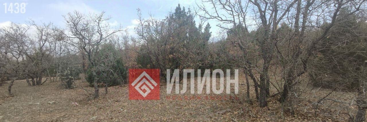 земля г Алушта с Приветное р-н курорт Канака ул Курортная фото 4