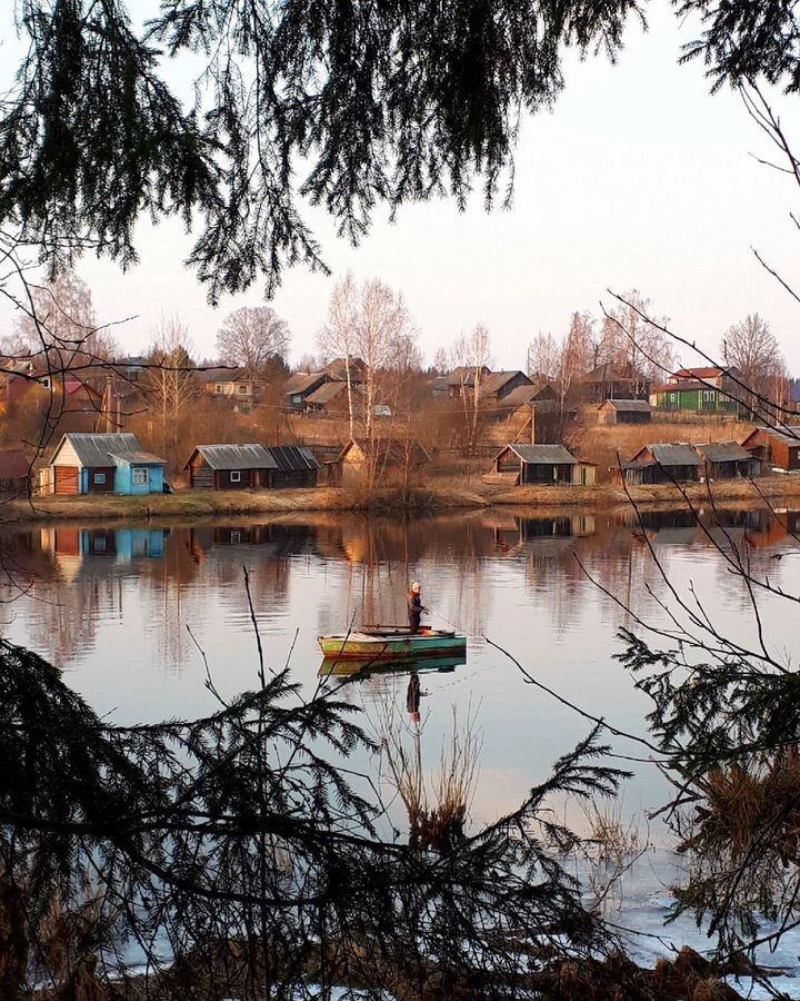 земля р-н Большесельский д Дор Мышкин фото 1
