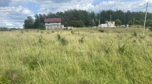 п Поддубное ул Южная 49 Новомосковское сельское поселение фото