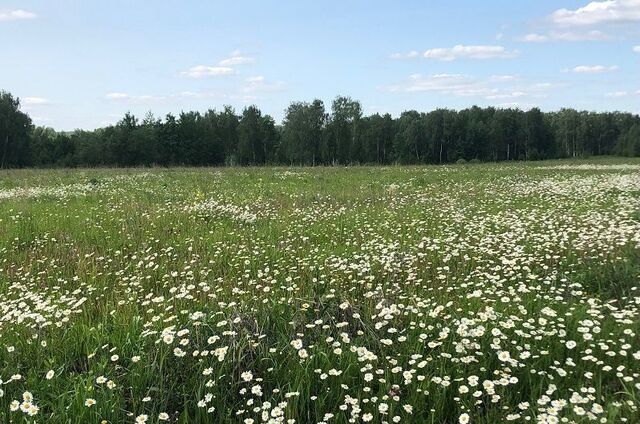 50 км, Чехов, Симферопольское шоссе фото
