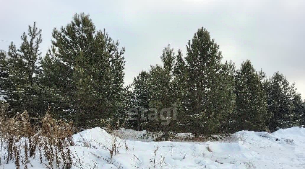 земля г Нижний Тагил р-н Тагилстроевский ул Ольховская фото 1