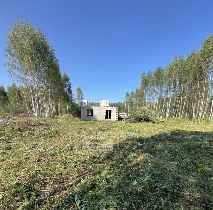 земля г Бор Деревня Красная сл фото 4