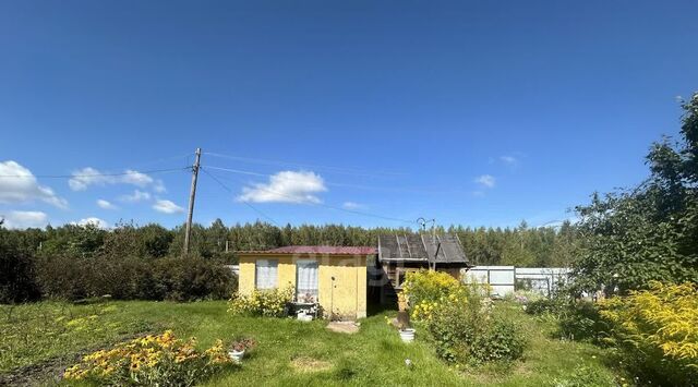 снт Фауна Озерский городской округ фото
