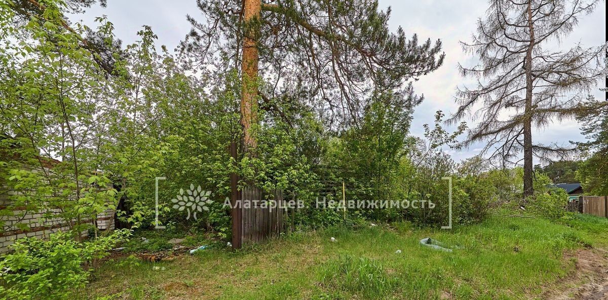 земля г Томск с Тимирязевское ул Октябрьская 43 р-н Кировский фото 4
