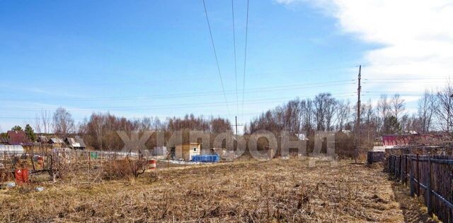 р-н Томский Деревня Петровский уч, ул. Сибирская фото р-н Томский Деревня Петровский уч, ул. Сибирская фото