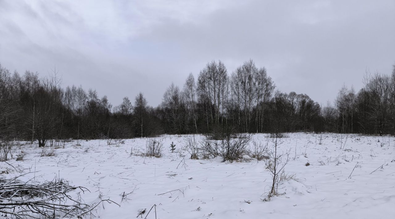 офис городской округ Лотошино д Софийское фото 1