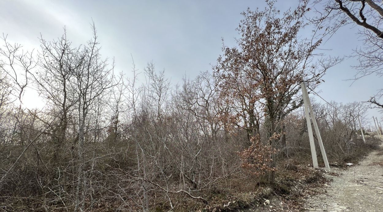 земля г Геленджик СНТ Голубая Долина тер., 2 фото 1