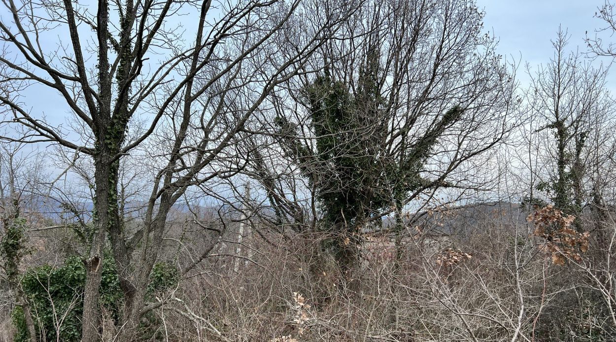 земля г Геленджик СНТ Голубая Долина тер., 2 фото 4