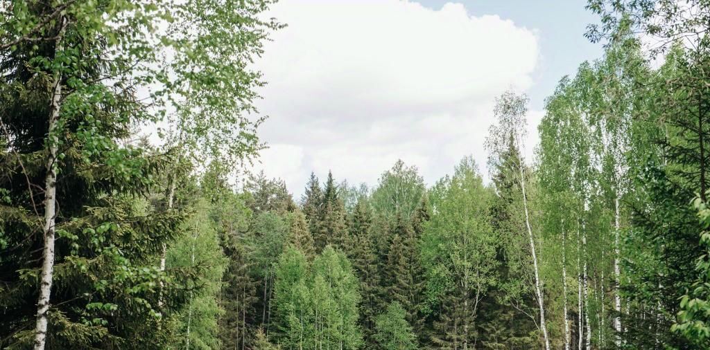 комната г Коломна снт Новое Клин городской округ фото 37