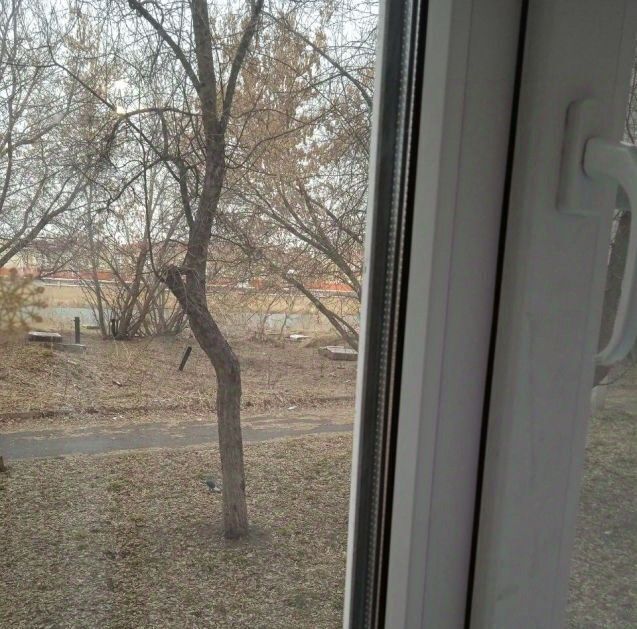 квартира г Курган ул Тельмана 19 фото 6