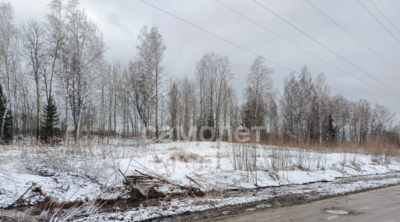 земля г Томск п Родионово ул Магистральная 31 р-н Советский фото 1