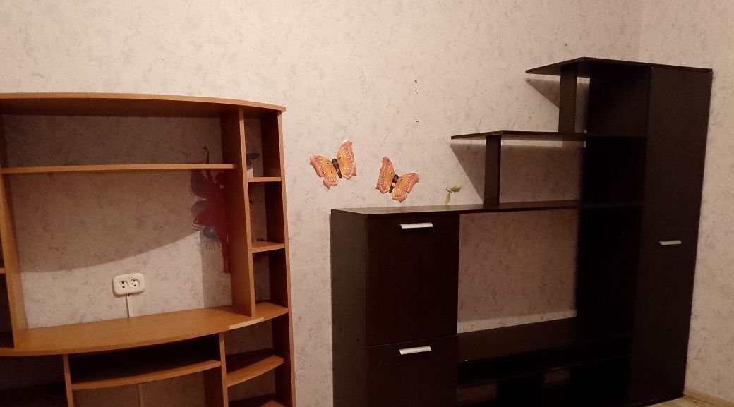 квартира г Новосибирск р-н Советский Академгородок ул Российская 19 фото 13