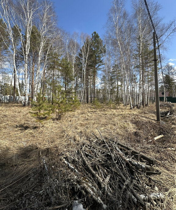 земля р-н Иркутский снт Ангарский берег 16 фото 4