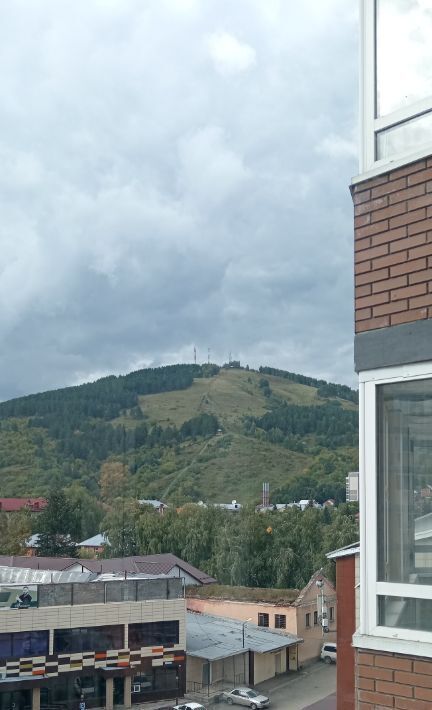 квартира г Горно-Алтайск ул Проточная 10/1к 4 фото 8