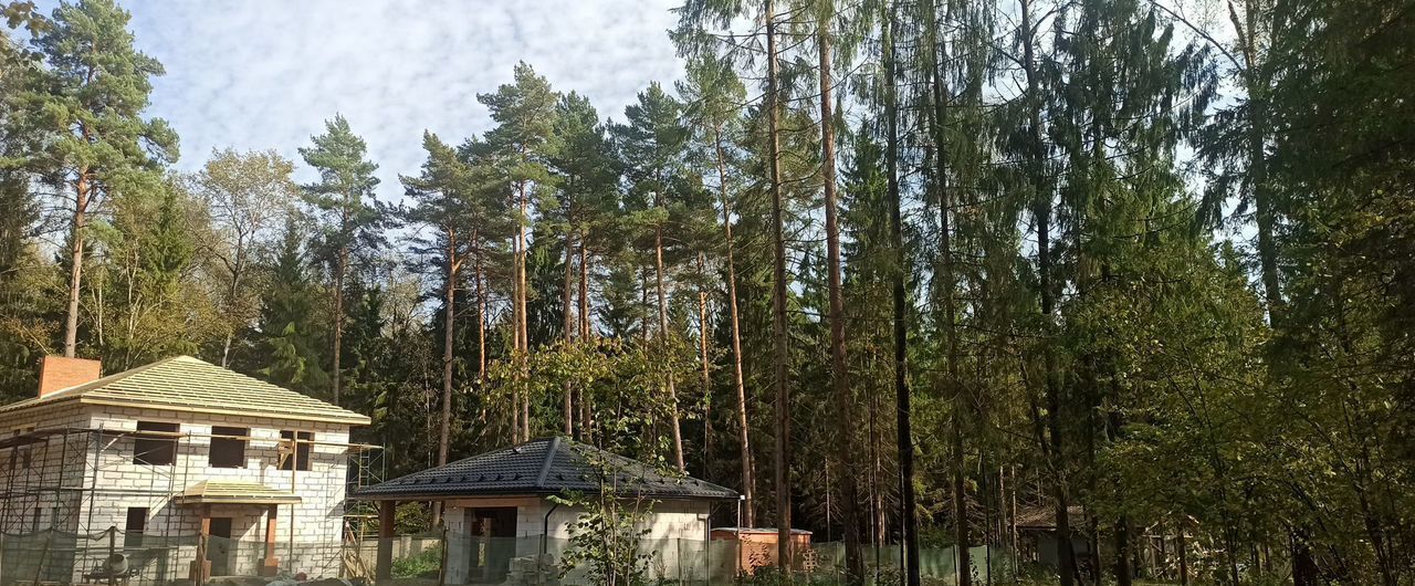 земля г Зеленоград направление Ленинградское (северо-запад) ш Ленинградское 21 км, 1-й мкр-н фото 1