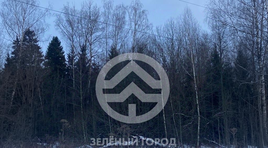 земля городской округ Солнечногорск д Тимошино фото 1