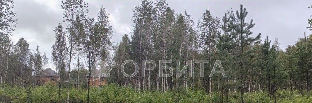 земля г Тюмень р-н Ленинский снт Яровское ул. Сливовая, 19 фото 4