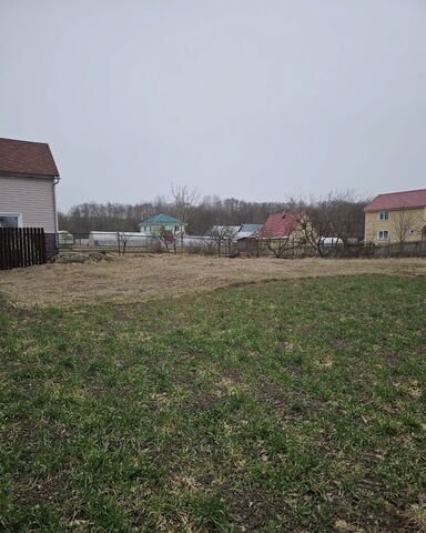 Гатчинское шоссе, 18 км, СНТ Мельничный Комбинат, 25 фото