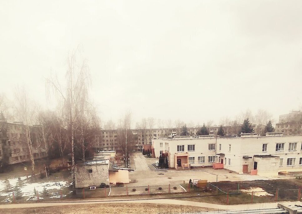 квартира г Нижний Новгород р-н Автозаводский Парк культуры ул Советской Армии 12 фото 6