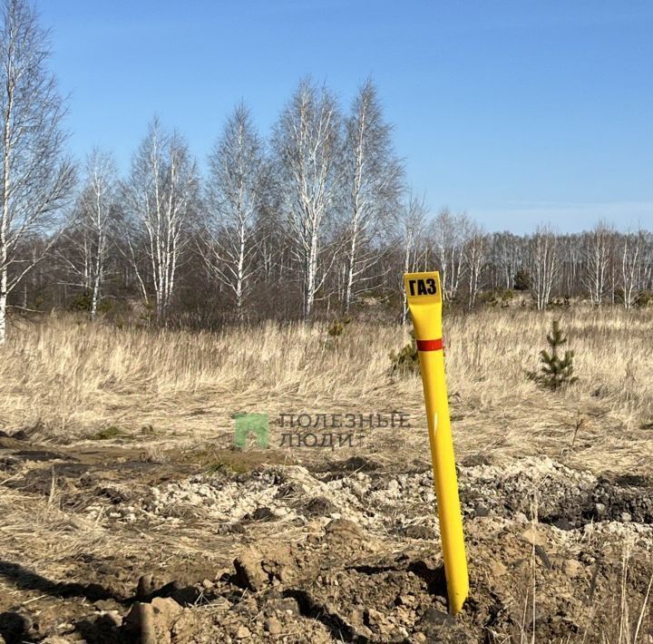 земля г Курган п Левашово фото 2