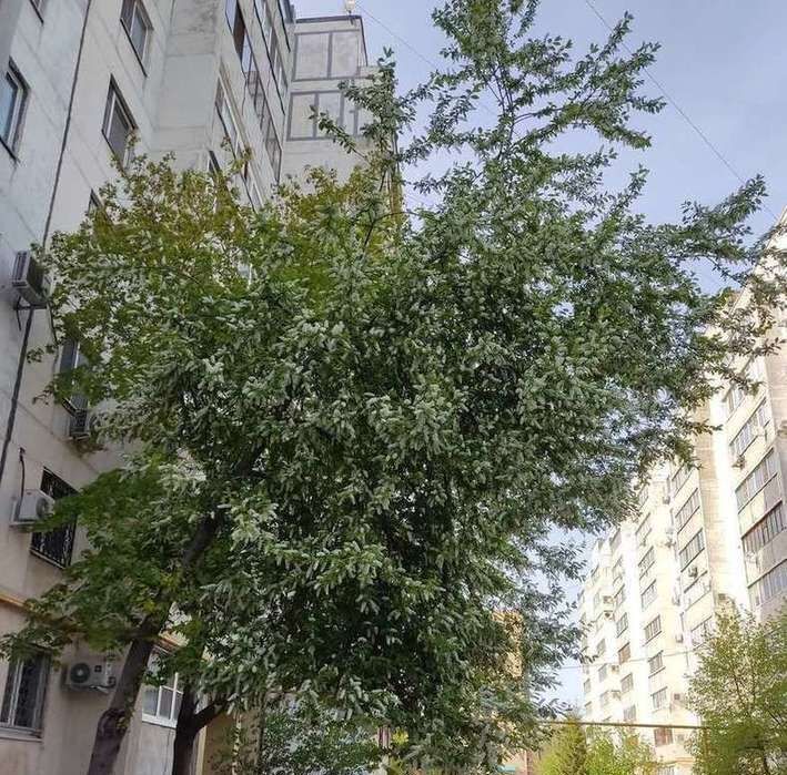 квартира г Самара Советская пер Карякина 1 фото 12