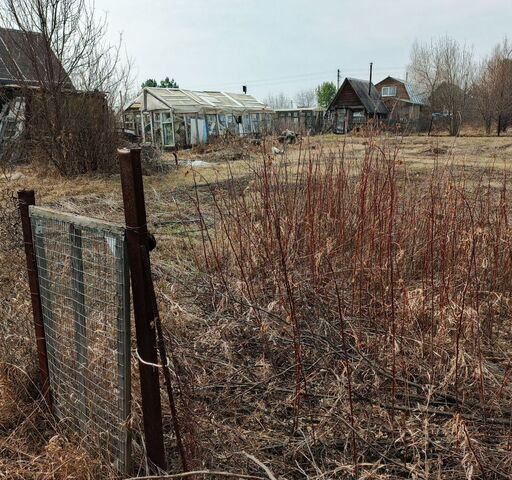 НСТ Черёмушки, Главная ул., 33, Чик фото