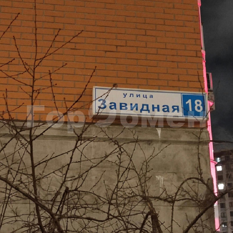 квартира г Видное ул Завидная 18 Царицыно фото 3